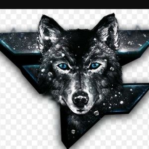 Meet your Posher, Shaun